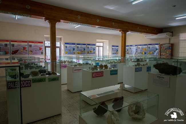Esta sala del museo de Ciencias Naturales AVAN en Viso del Marqués es una maravilla