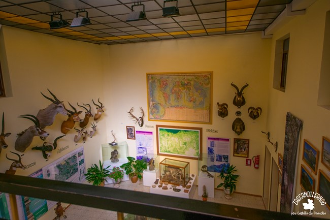 Este museo es uno de los lugares que hay que visitar sí o sí cuando se va a Viso del Marqués debido a lo completo que es