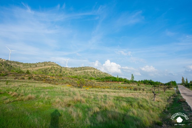 El Cubillo es un pueblo cuyos alrededores están poblados de vegetación