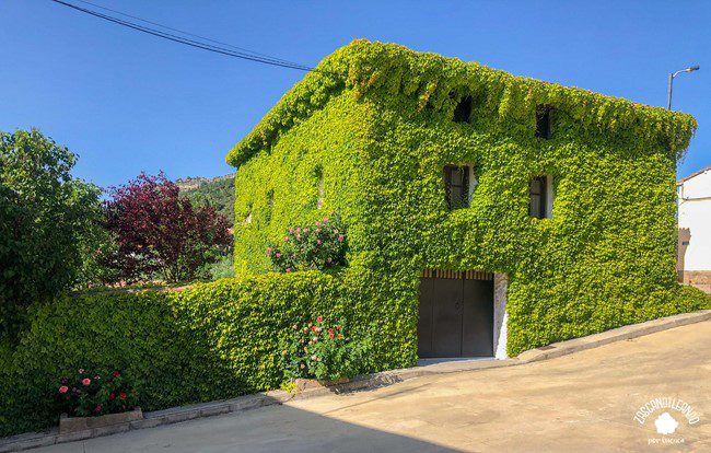 Este inmueble de La Huérguina es de lo más vistoso debido a las enredaderas que cubren su fachada